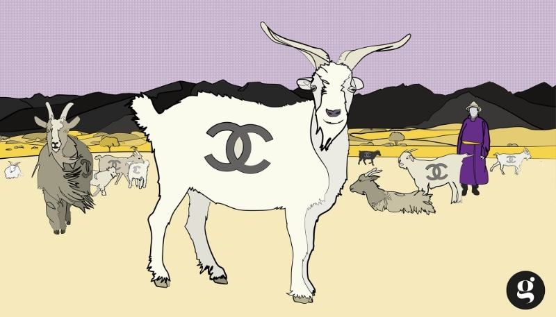 Chanel secures its cashmere supplies by investing in Mongolia, where the finest wool is produced.