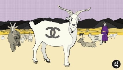 Chanel sécurise son approvisionnement en cachemire via des investissements en Mongolie, où est produite la laine la plus fine.
